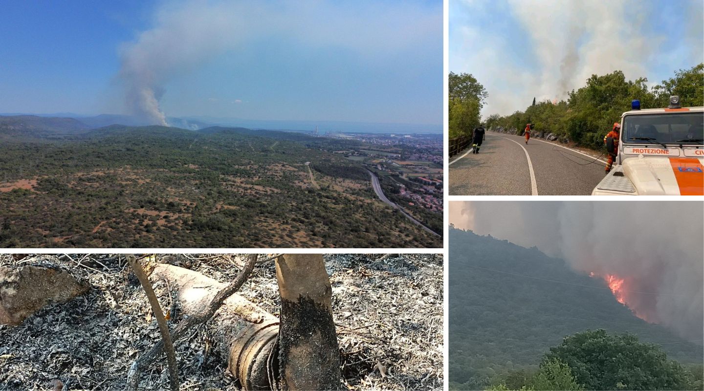 Immagine per Incendi, bruciati più di 2.000 ettari di Carso tra Italia e Slovenia